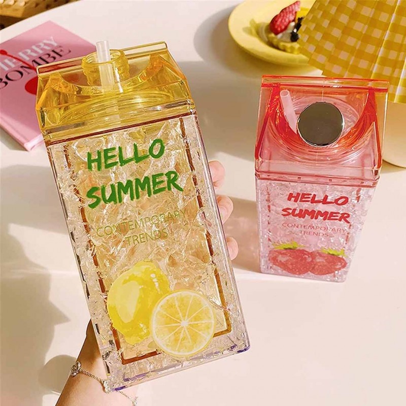 Hello Summer Straw Fashion Ice Fruit Water Bottle