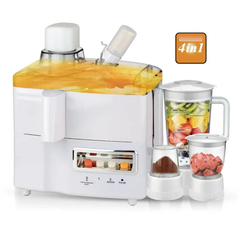 4 in 1 Juicer Blender