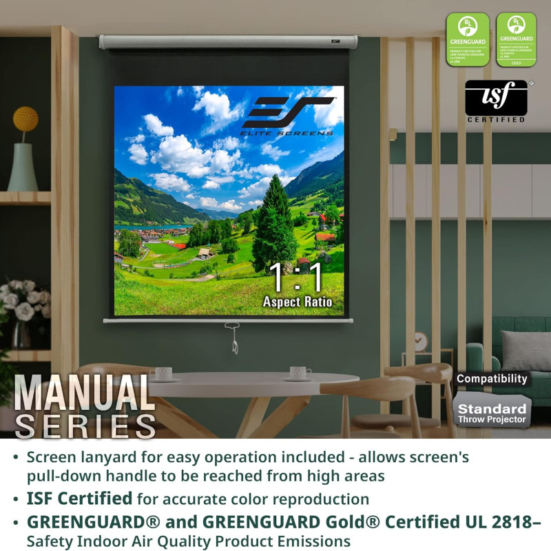 Projector Screen 150 Inch Manual 8x10 Feet 4:3mw