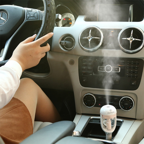 Pack Of 2 Car Humidifier & Car Valet Organizer