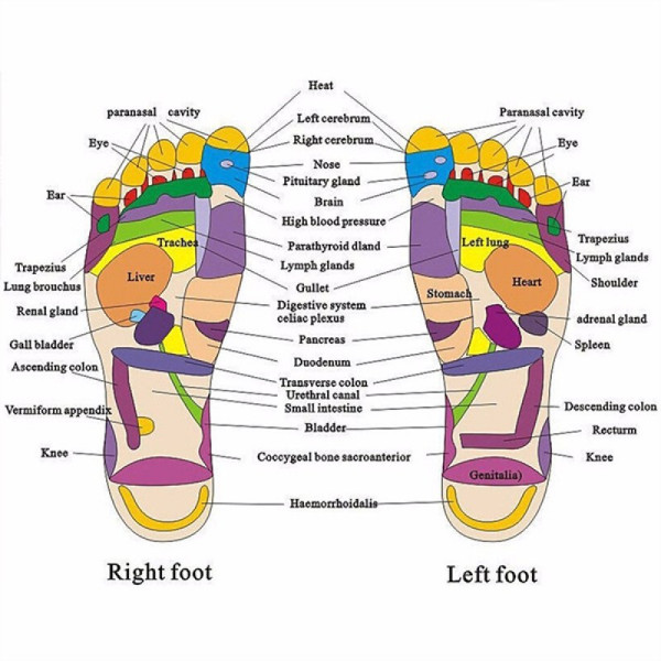 Reflexology Massage Slippers