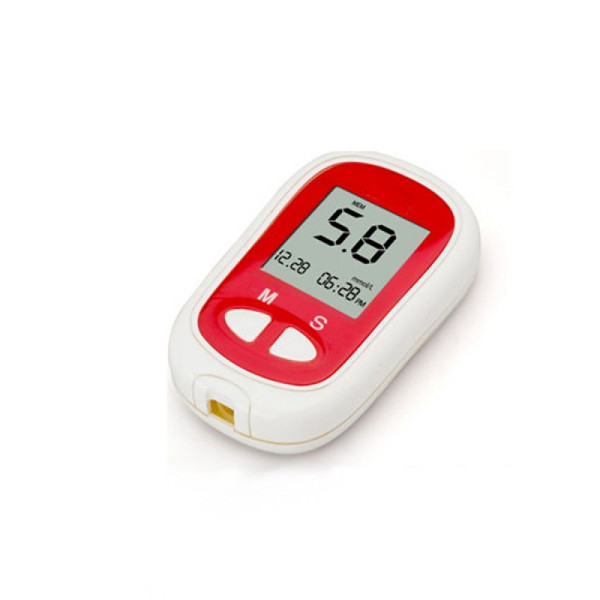 Blood Glucose Monitoring System