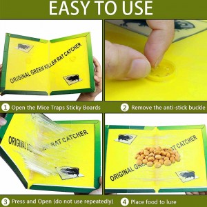 Mouse Glue Traps Expert Catch