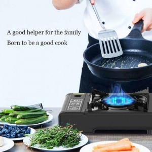 Portable Gas Stove with Case