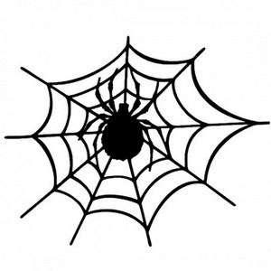 Bug In Spider Web Stylish Car Stickers