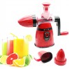 Manual Juicer & Ice Cream Machine