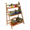 Bamboo Wood Ladder Plant