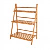 Bamboo Wood Ladder Plant