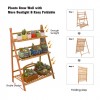 Bamboo Wood Ladder Plant