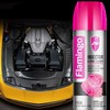 Flamingo Injector & Choke Cleaner
