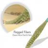 Waterproof Soft Plastic Fiber Broom Pack (Buy 01 & Get 01 Free)