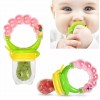 Baby Fruit Mesh Food Pacifier
