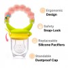 Baby Fruit Mesh Food Pacifier