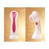 4 IN 1 Multi-Function White Beauty Face Massager AE8289A