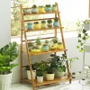 Bamboo Display Rack 04 Step