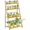 Bamboo Display Rack 04 Step