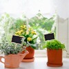 12pcs Mini Message Chalkboard For Kids Rectangle Blackboard