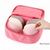Travel Undergarment Pouch