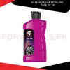 Gladiator Car Detailing Pack Of 08