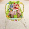 Rainforest Friends Bouncer