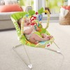 Rainforest Friends Bouncer