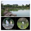 18x Zoom Mobile Phone Lens Telescope