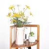 Corner Cabinet Wood Clapboard Shelf Racks 05 Tier