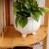 Corner Cabinet Wood Clapboard Shelf Racks 04 Tier 