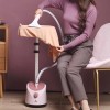 Garment Portable Stand Steam Iron