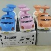 Jaguar Car