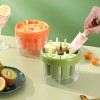 Ice Pop Mold Box: Create Refreshing Homemade Popsicles Easily