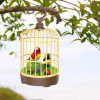 Happy Bird Cage Toy - Interactive and Colorful Toy for Pet Birds - Shopright.pk