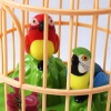 Happy Bird Cage Toy - Interactive and Colorful Toy for Pet Birds - Shopright.pk
