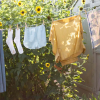 Steel Washing Line Rope