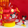 Stay Hydrated with Disney Water Drinking Bottle | Travel and Fitness | Shopright.pk