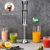 Stainless Steel Hand Blender R-294 Mixer 600W