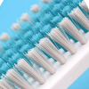 CHAHUA Brushes Household Laundry And Shoe Washing Special Brushes | Bathroom Accessories | Shopright.pk