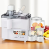 4 in 1 Juicer Blender