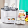 4 in 1 Juicer Blender