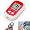 Blood Glucose Monitoring System