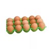 Egg Tray (Buy 1 & Get 1 Free)