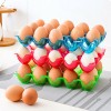 Egg Tray (Buy 1 & Get 1 Free)